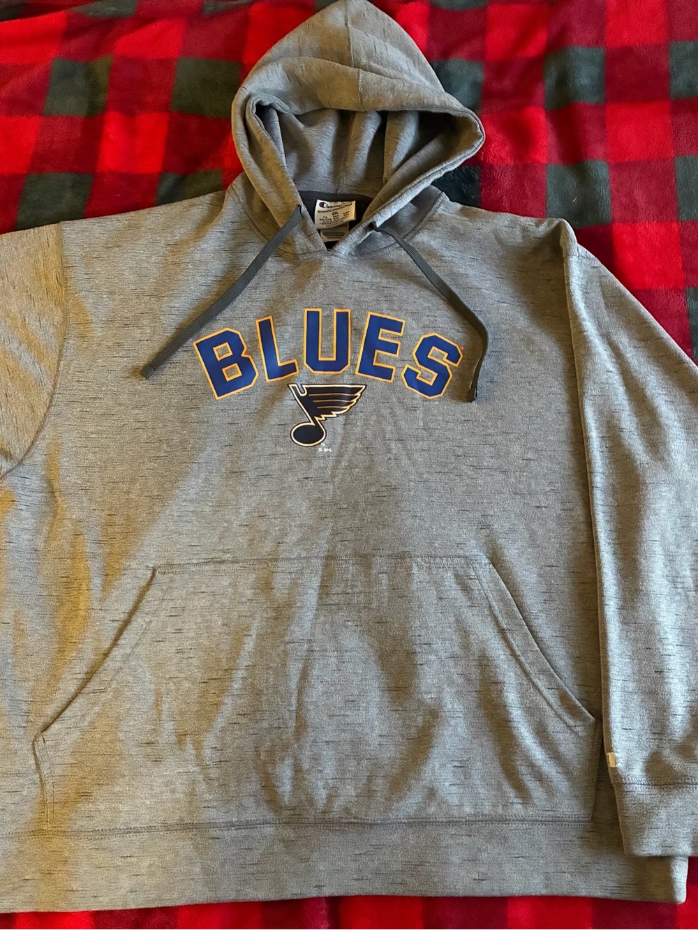 Vintage Champion Gray Crewneck Hoodie with Blue & Gold 'BLUES' Logo 2XL